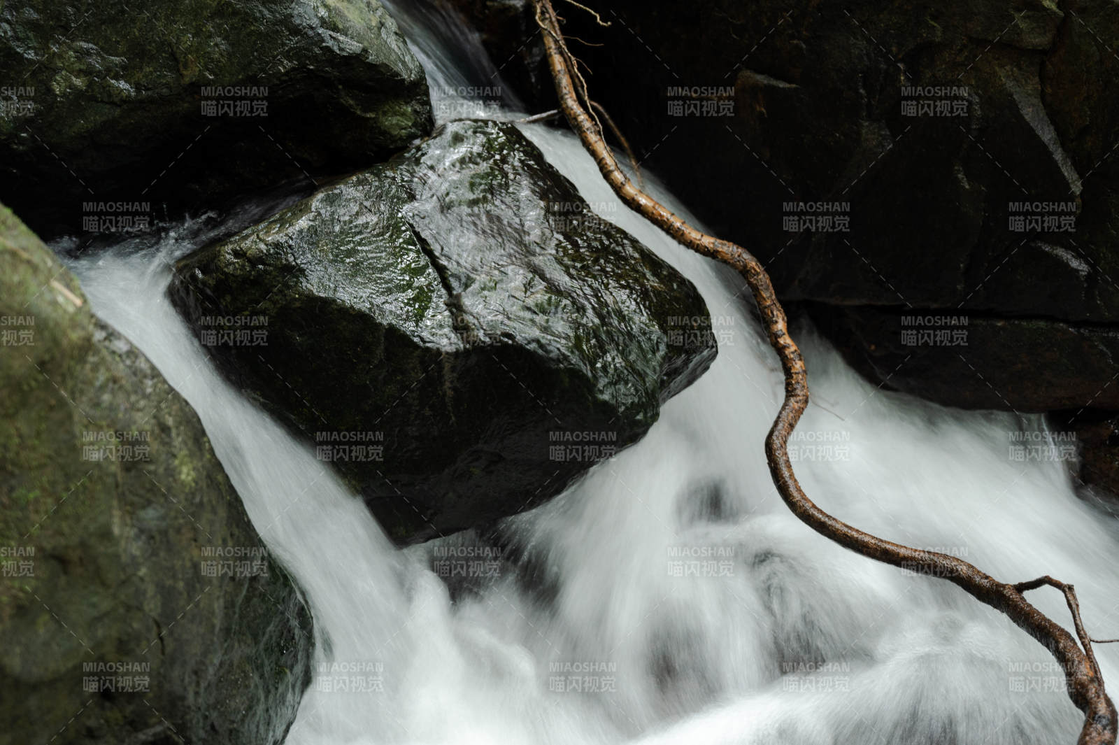 溪流绕石 枝蔓横生图片