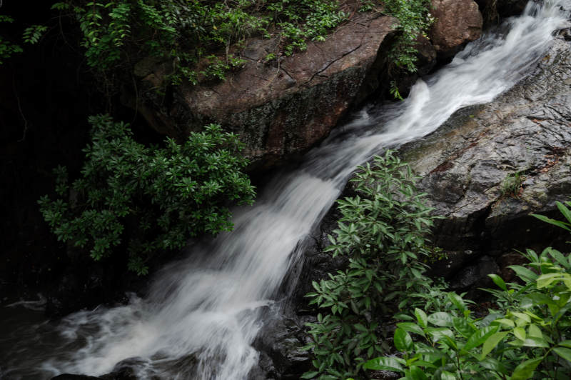 山涧溪流 绿植环绕图片