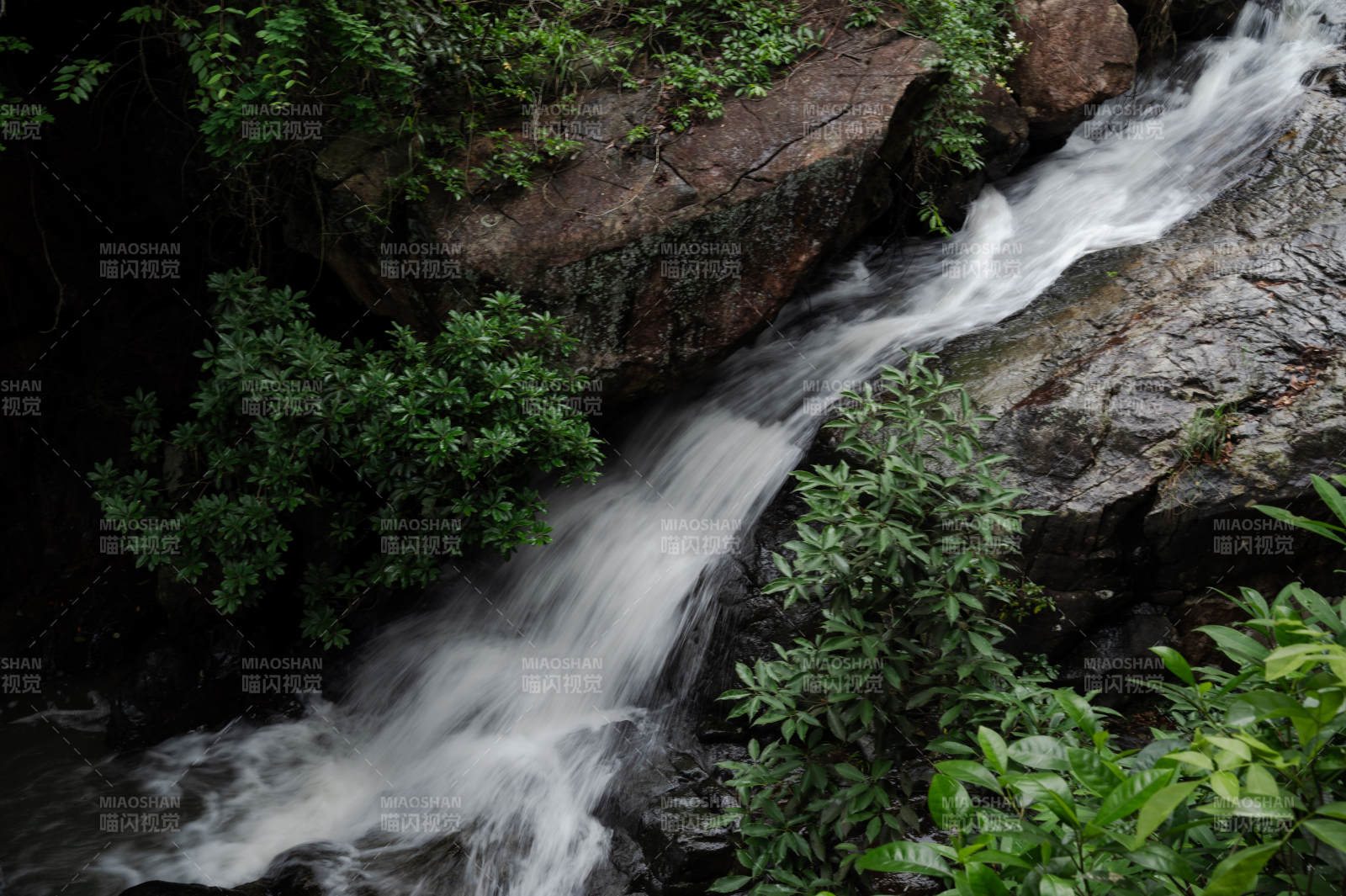 山涧溪流 绿植环绕图片