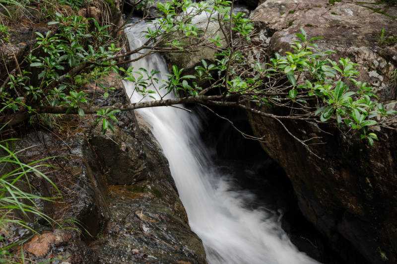 山涧瀑布 绿植环绕图片