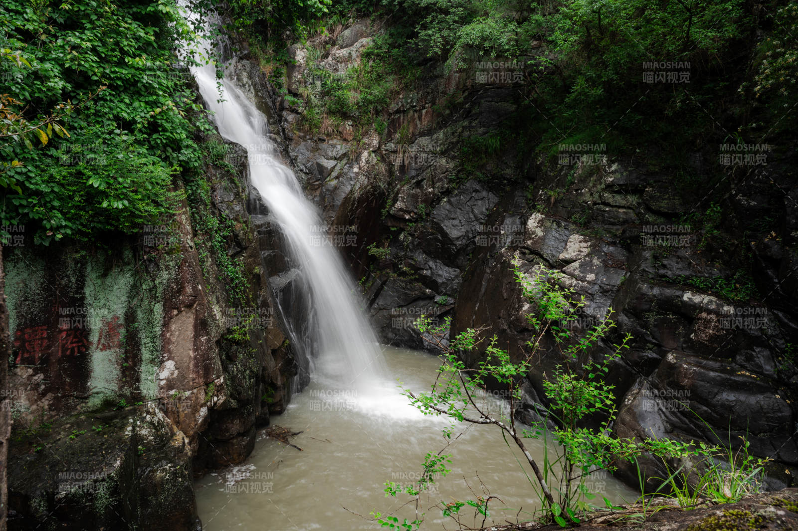 山涧瀑布 绿意盎然图片