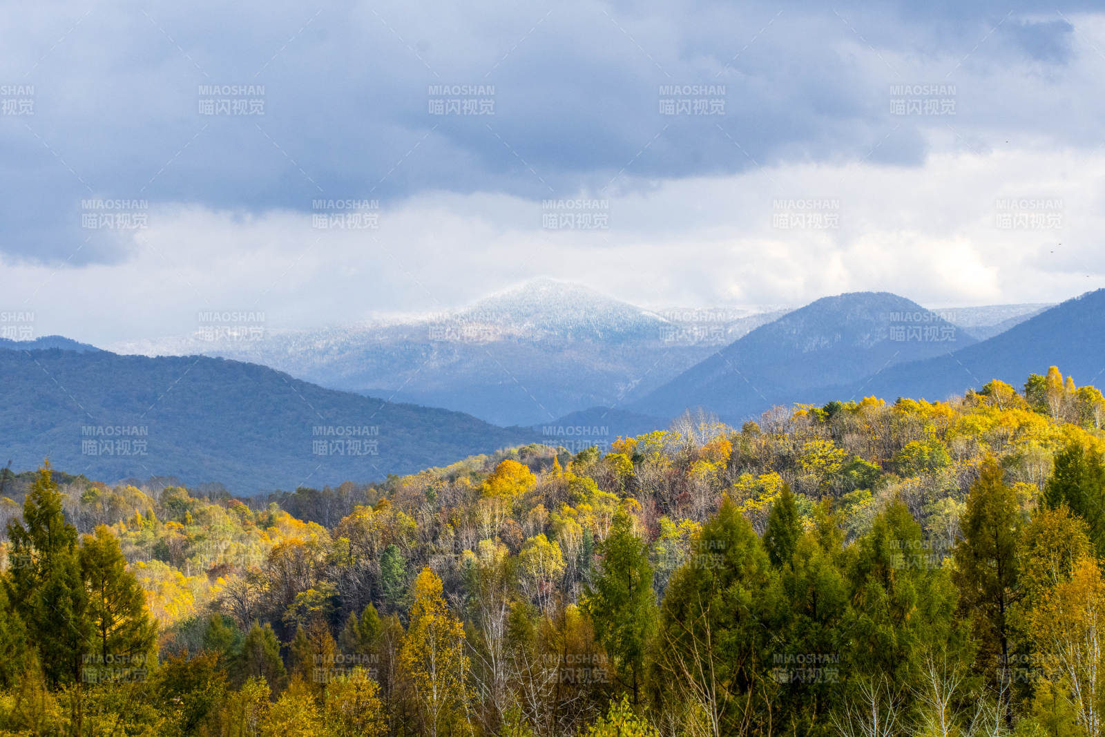 秋山云雾 色彩斑斓图片