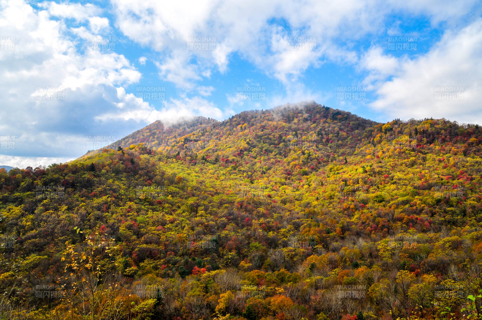 秋日山林色彩斑斓图片