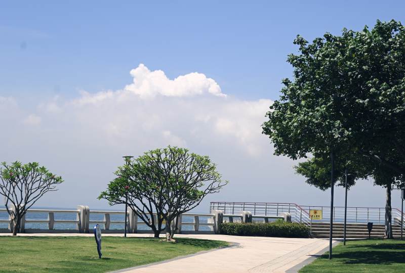 海边绿树与步道风景图片