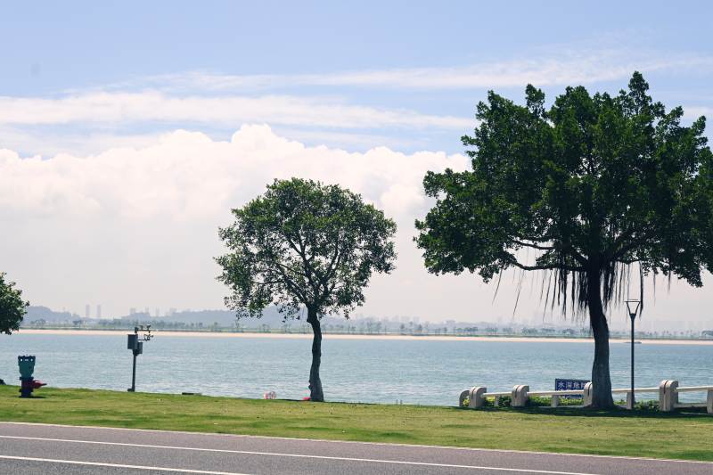 海边绿树与蓝天白云 彩虹跑道图片