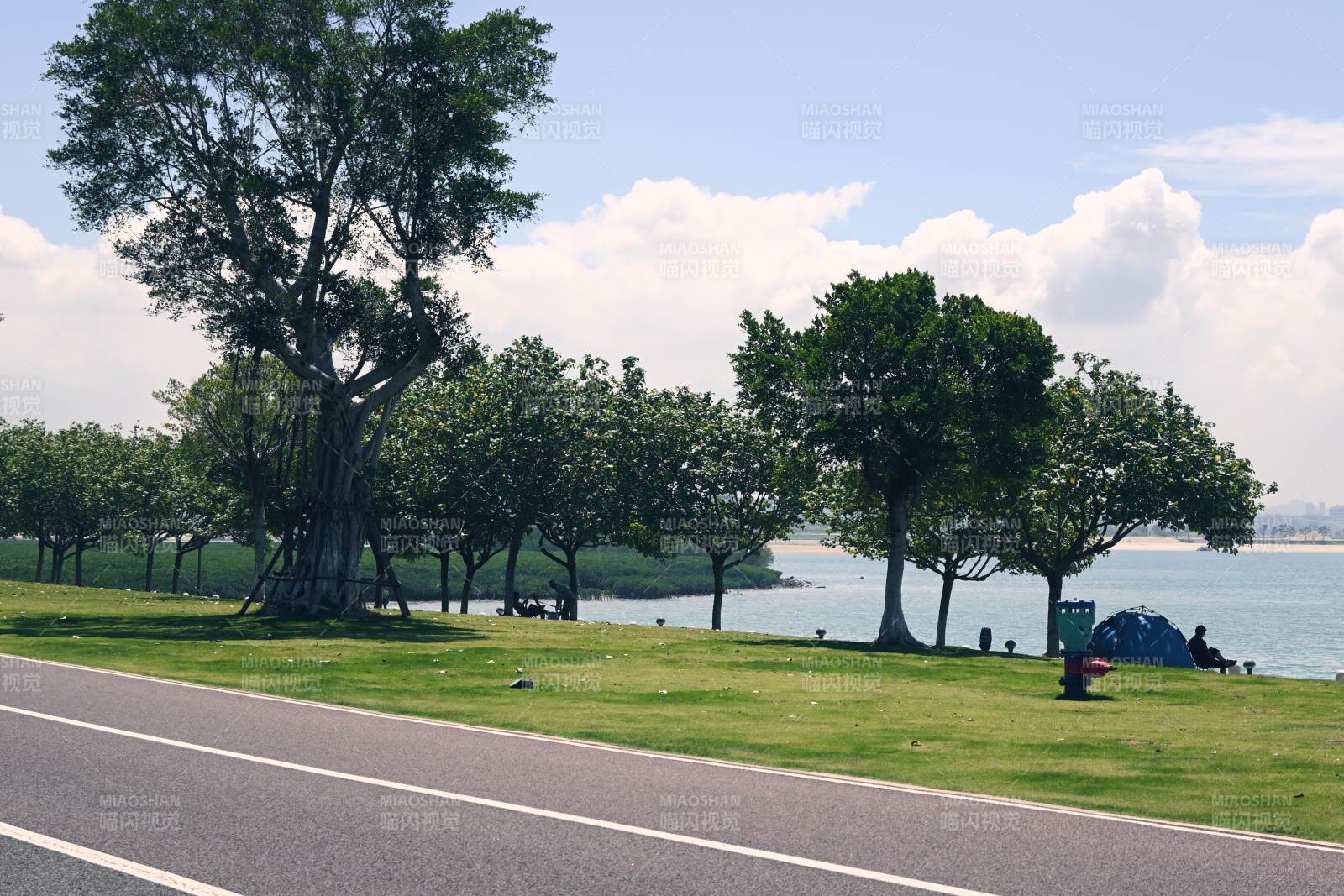 湖畔绿树与草地风光 彩虹跑道图片