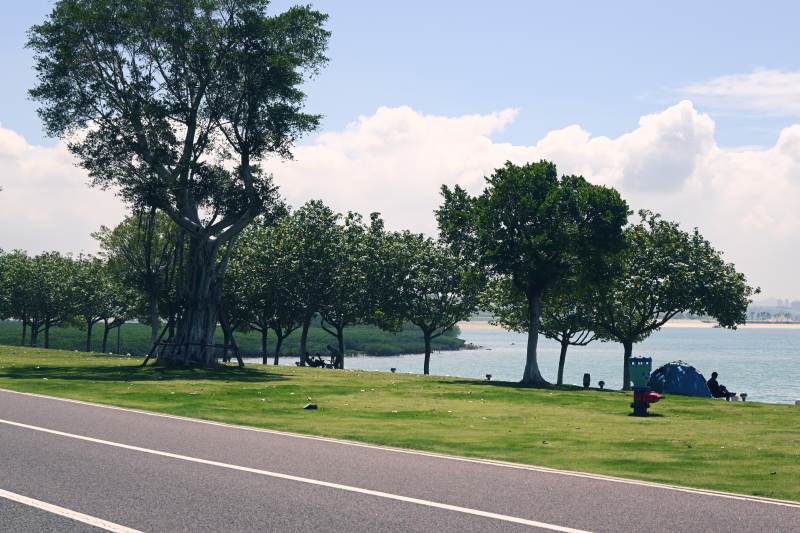 湖畔绿树与草地风光 彩虹跑道图片