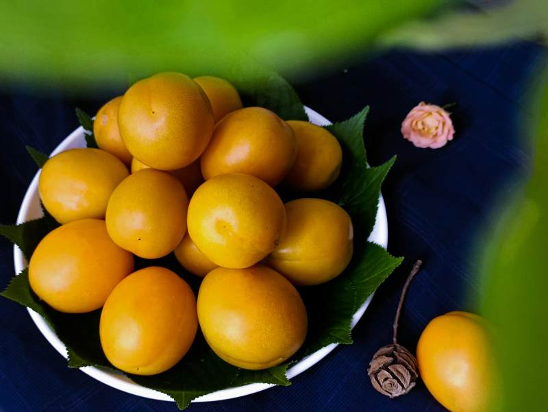 金黄果实 绿叶点缀图片