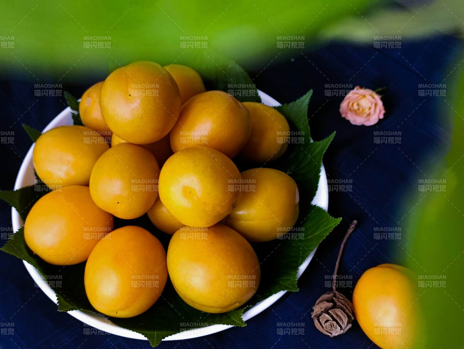 金黄果实 绿叶点缀图片