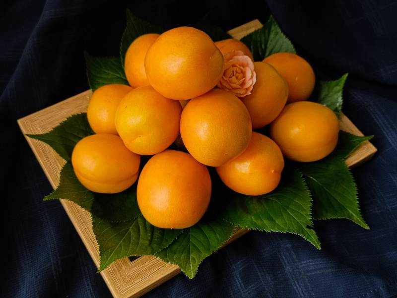 金黄果实绿叶衬托图片