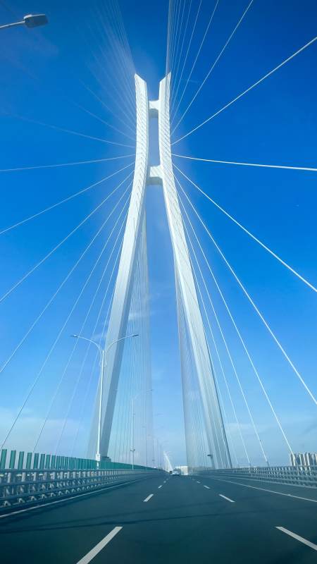 蓝天下的斜拉桥美景图片