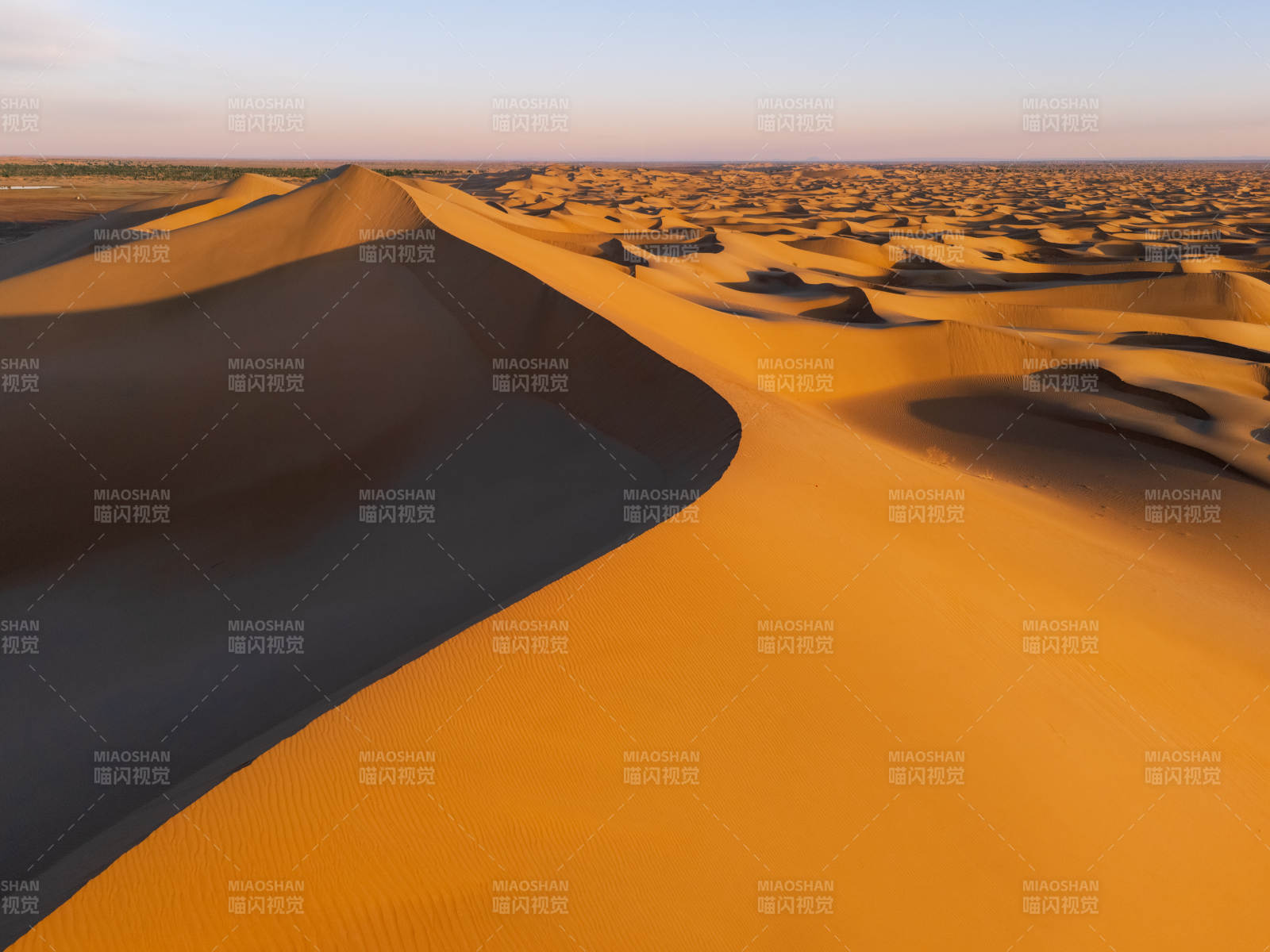 金色沙漠的晨曦美景图片