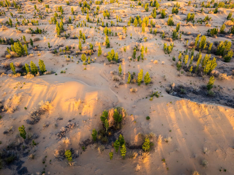 沙漠绿洲夕阳美景图片