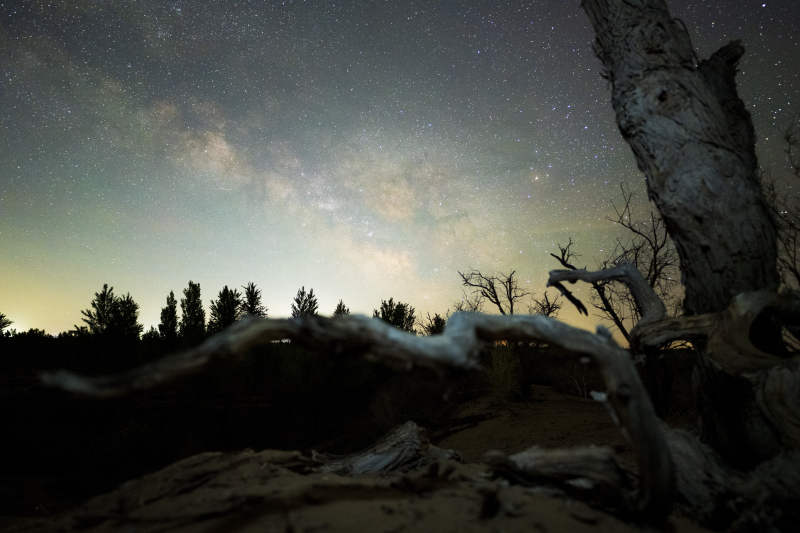 夜空银河与枯树剪影图片