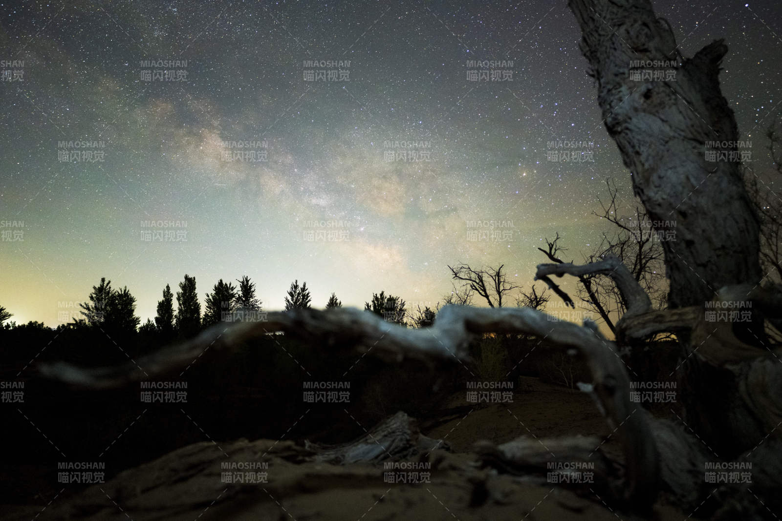夜空银河与枯树剪影图片