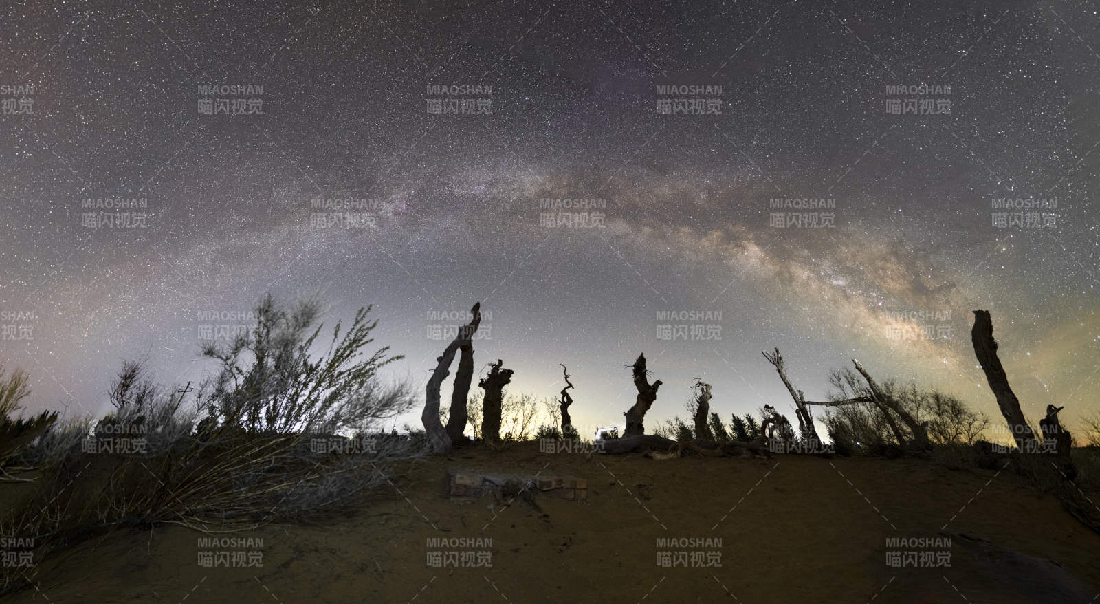 星空下的枯树剪影图片