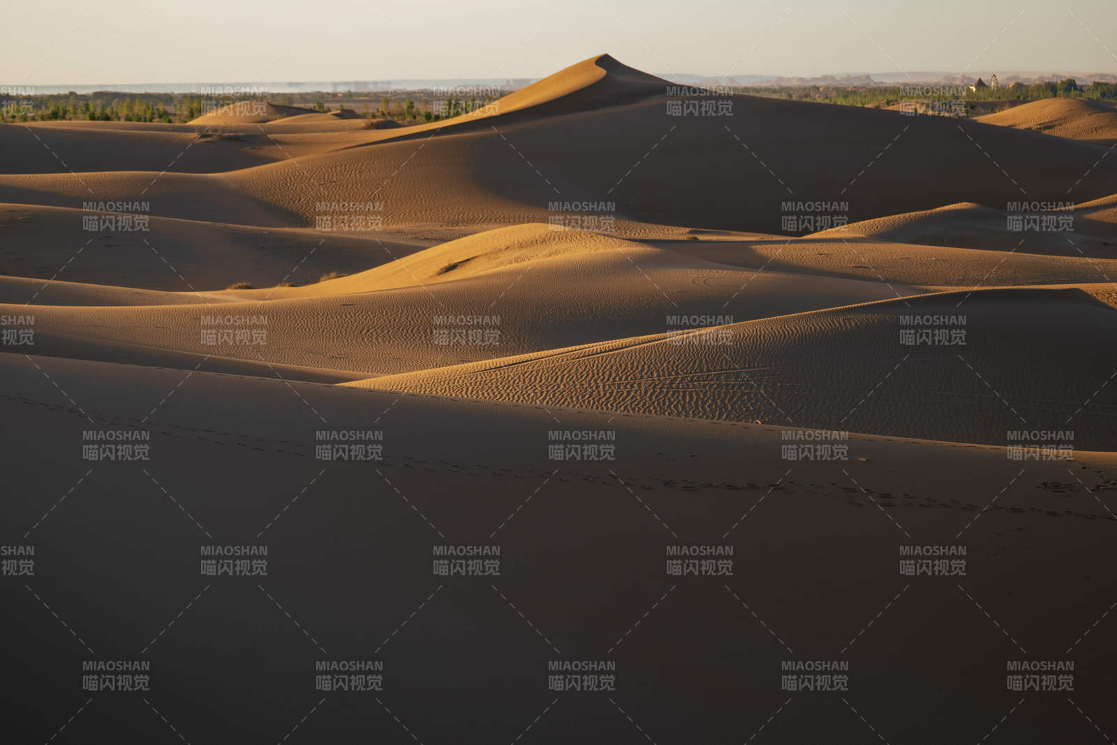 金色沙漠的宁静之美图片