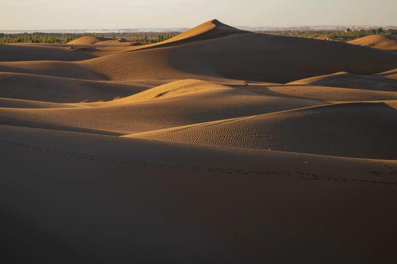金色沙漠的宁静之美图片
