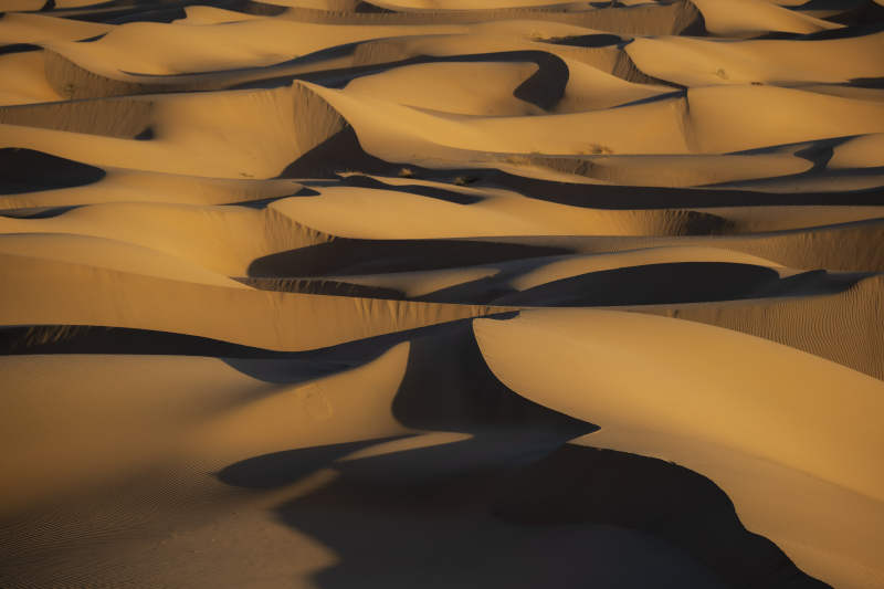 金色沙漠的波浪纹理图片