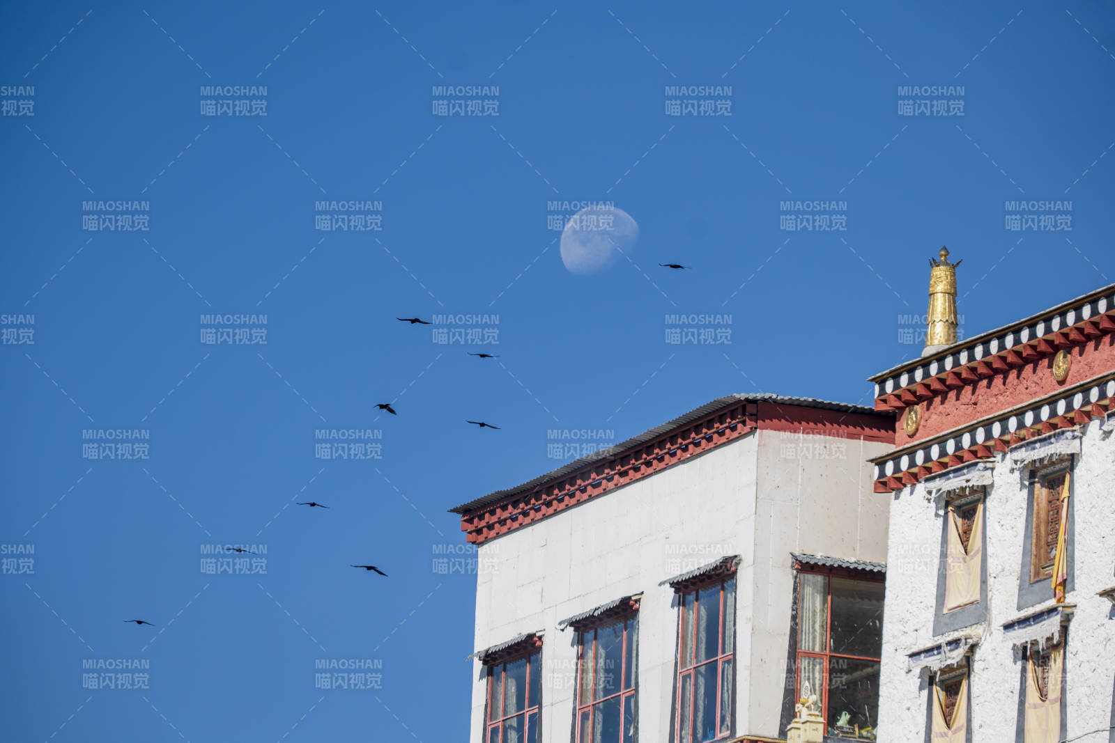 蓝天下的古建筑与飞鸟图片
