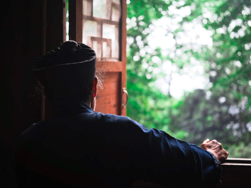 窗边沉思 绿意盎然图片