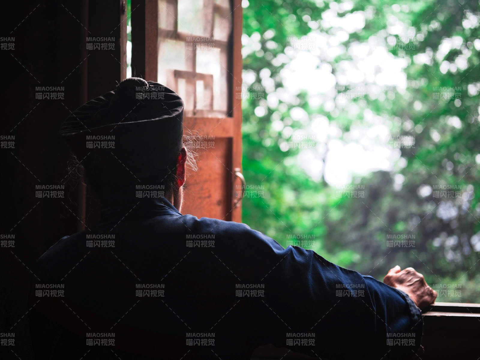 窗边沉思 绿意盎然图片