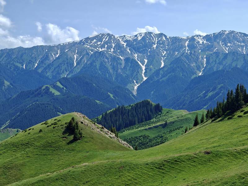 松树头青山绿水映雪山图片