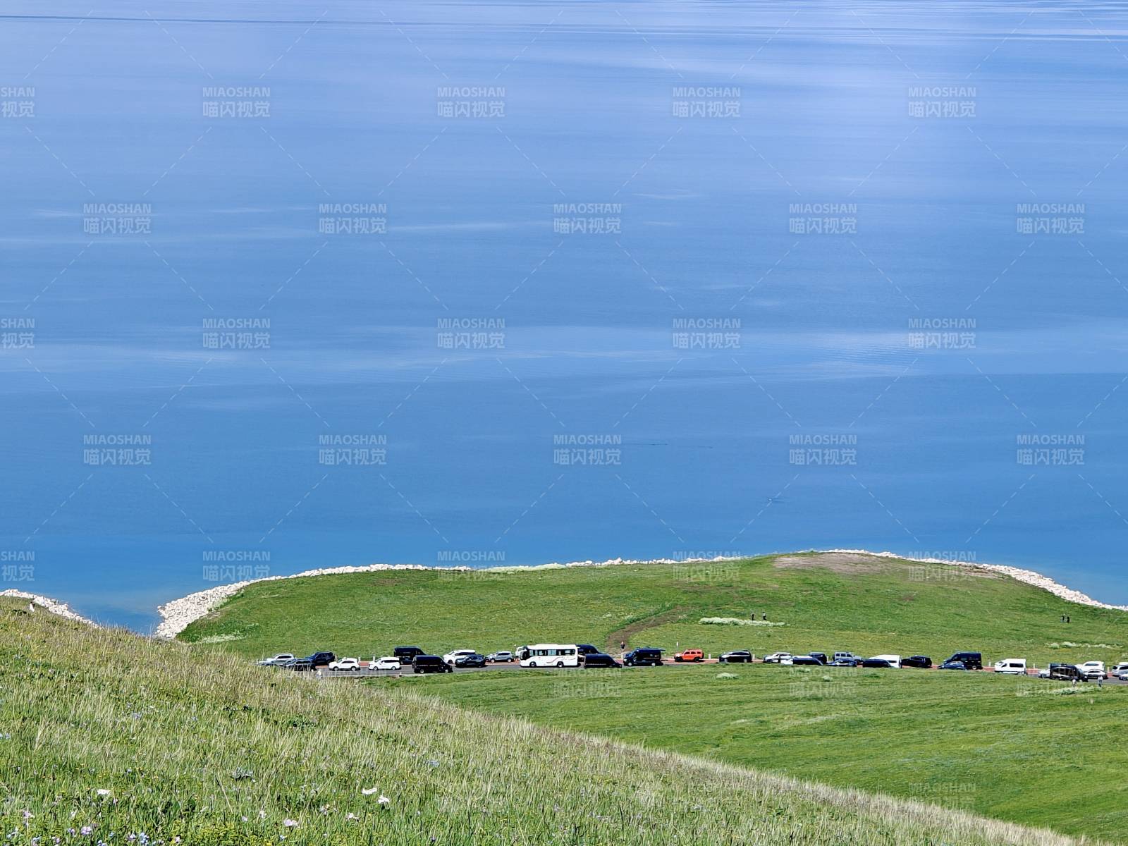 赛里木湖湖畔绿草如茵 车流停驻图片