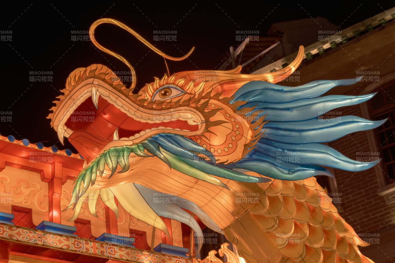 龙腾夜色 祥瑞之兆图片