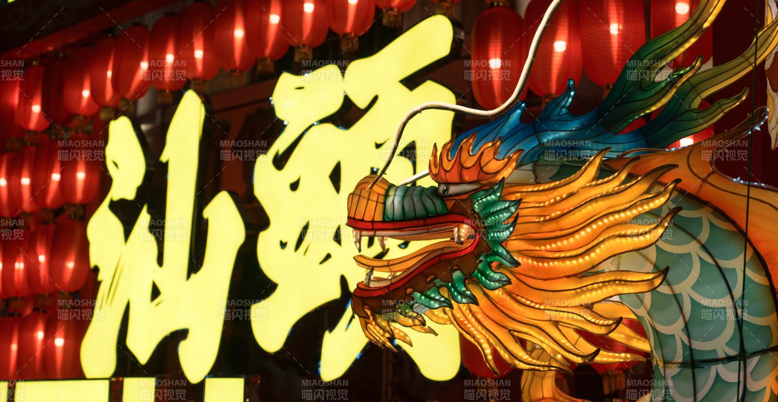 龙灯璀璨迎新春图片