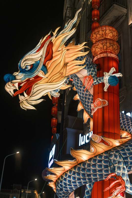 夜幕下的龙形灯饰图片