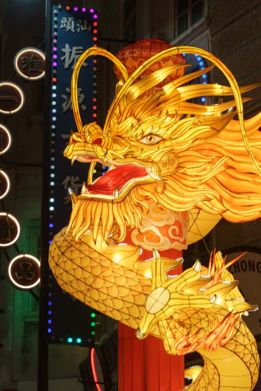 金龙灯饰璀璨夺目图片