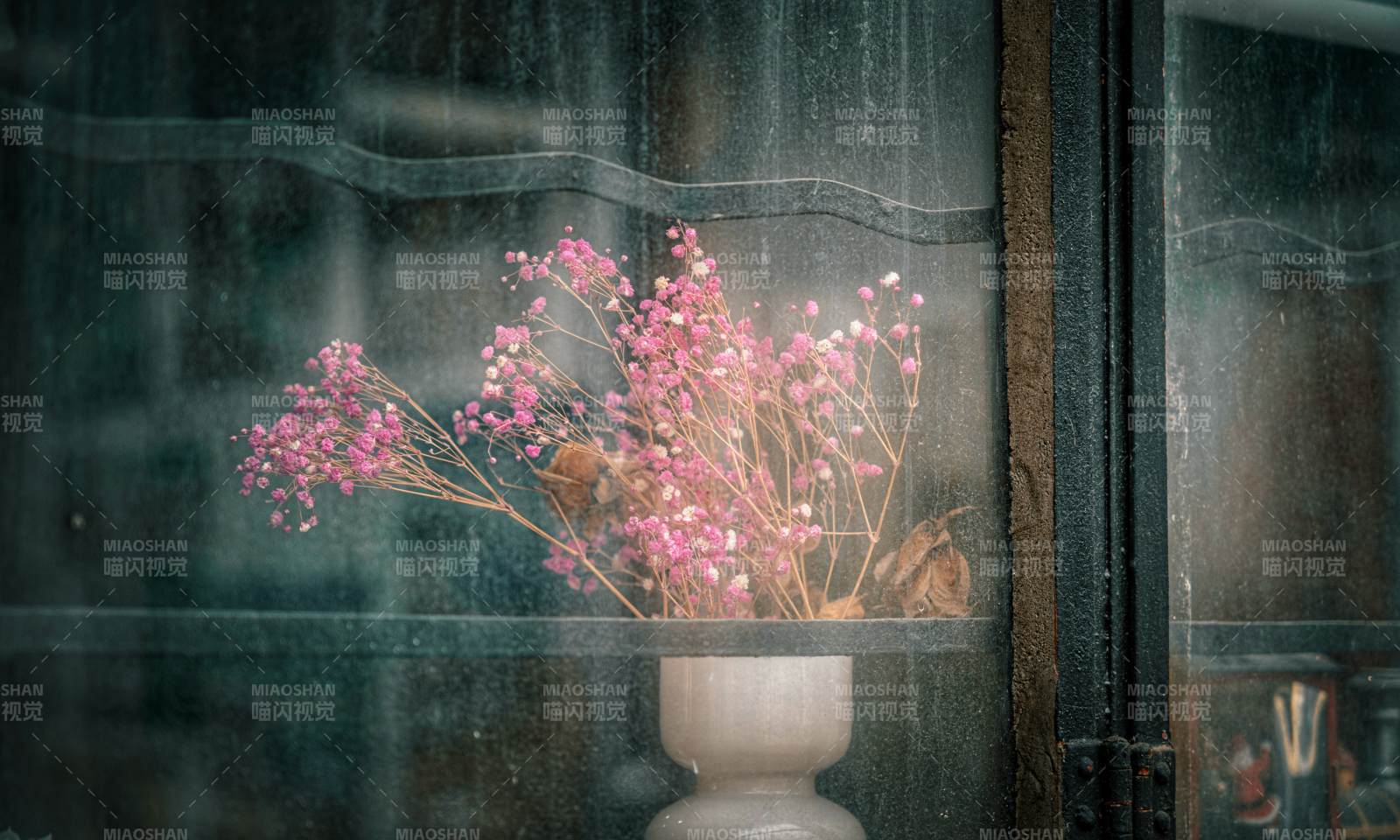 窗前花影 雨中静谧图片