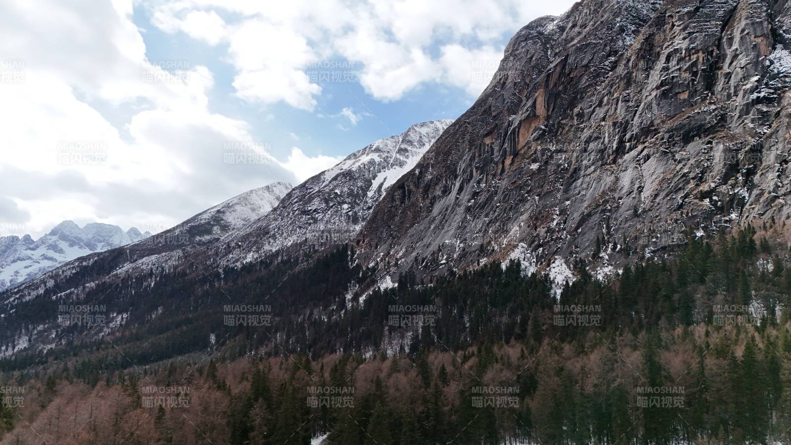 雪山森林 冬日美景图片