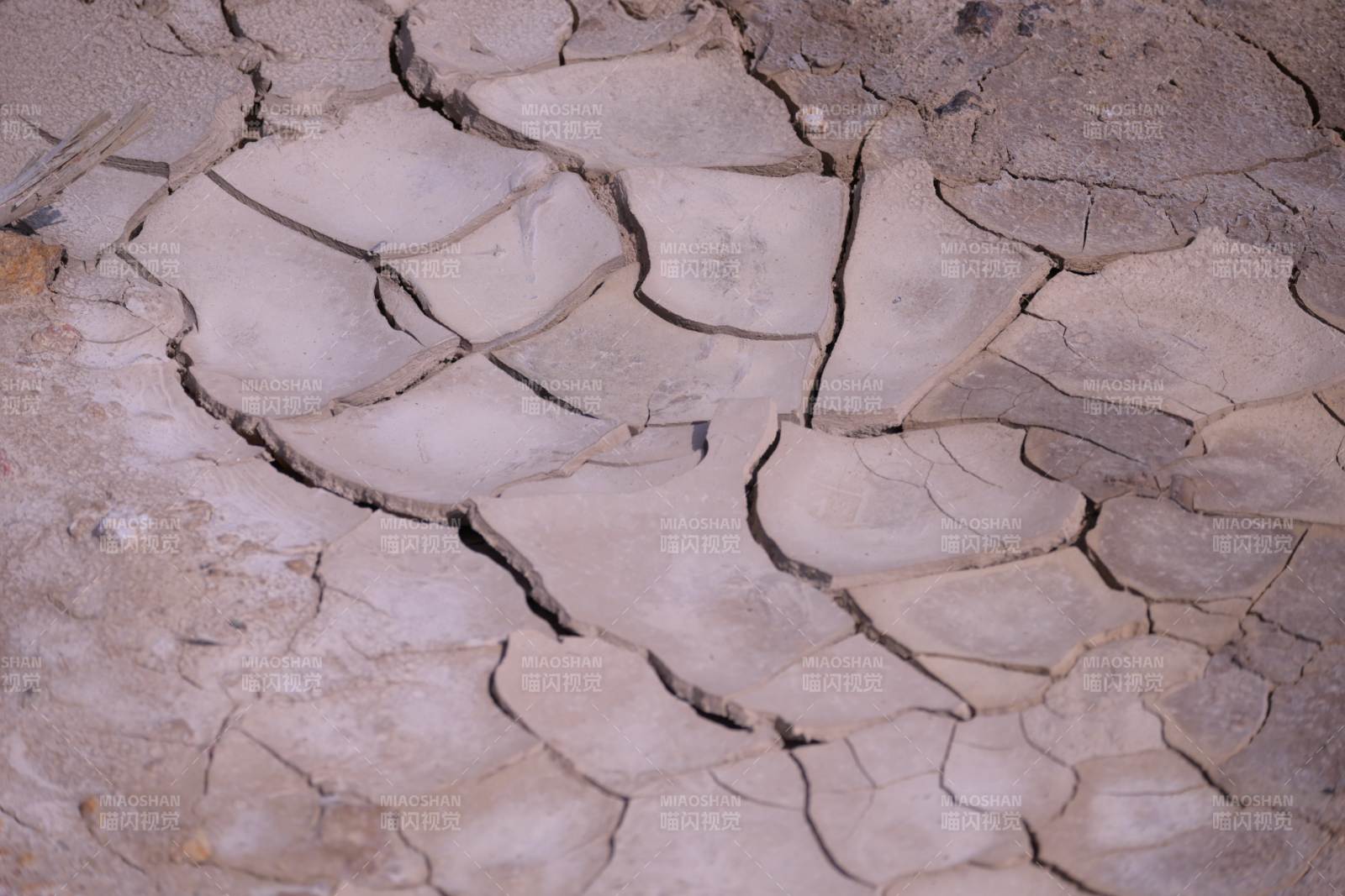 干裂的土地纹理特写图片
