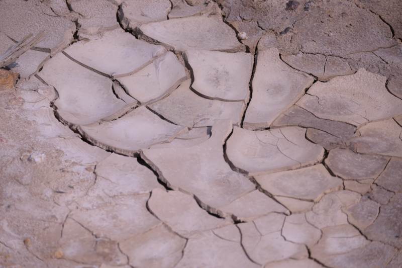 干裂的土地纹理特写图片