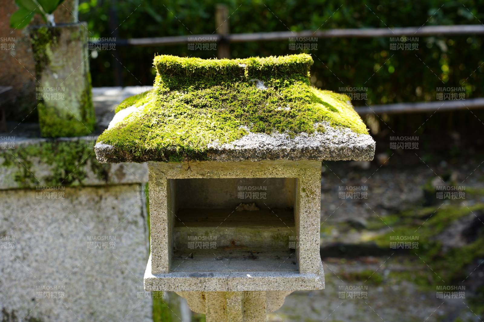 苔藓覆盖的石灯笼图片