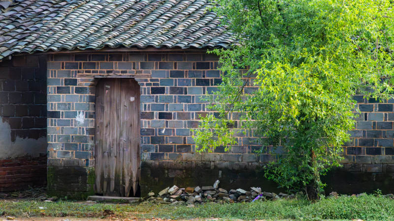 乡村老屋与绿树相伴图片
