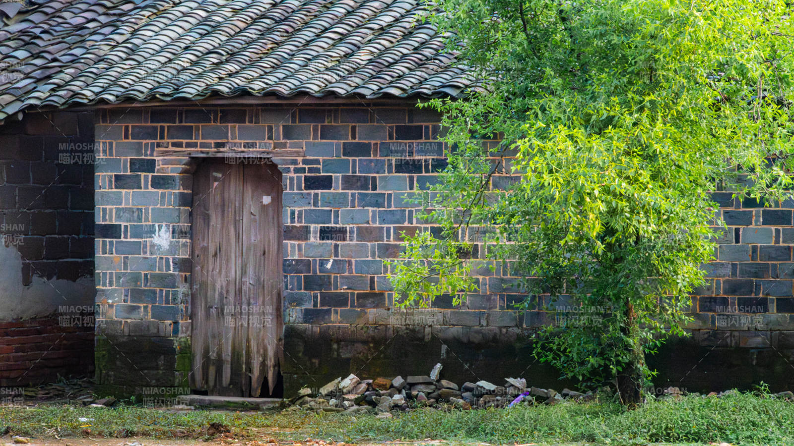 乡村老屋与绿树相伴图片