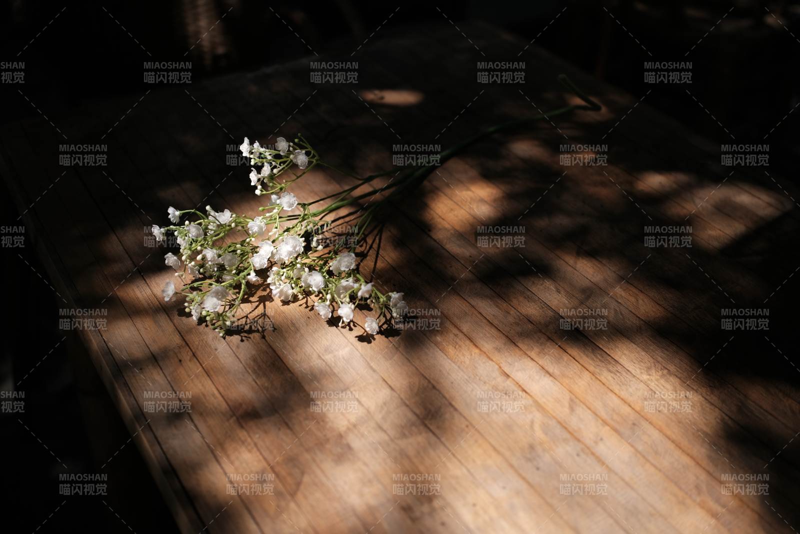 阳光下的白色小花束图片