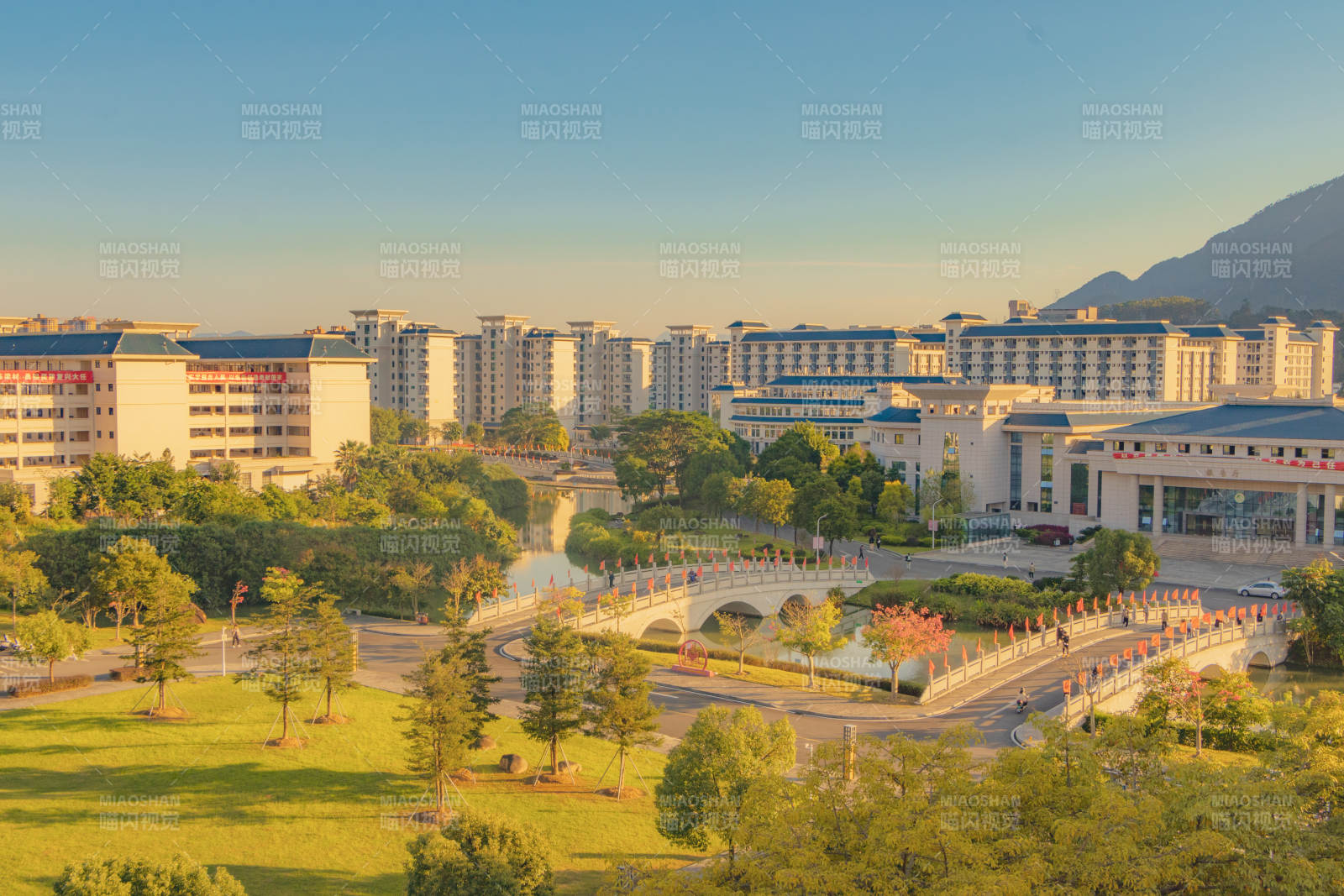 校园风光 绿树成荫图片