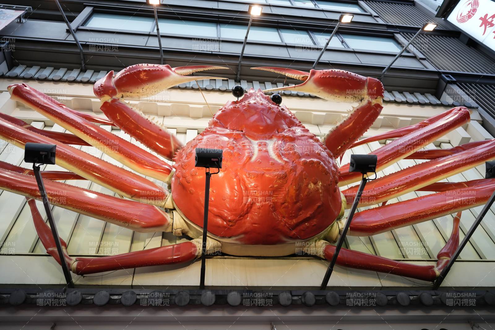 巨型螃蟹装饰品展示图片