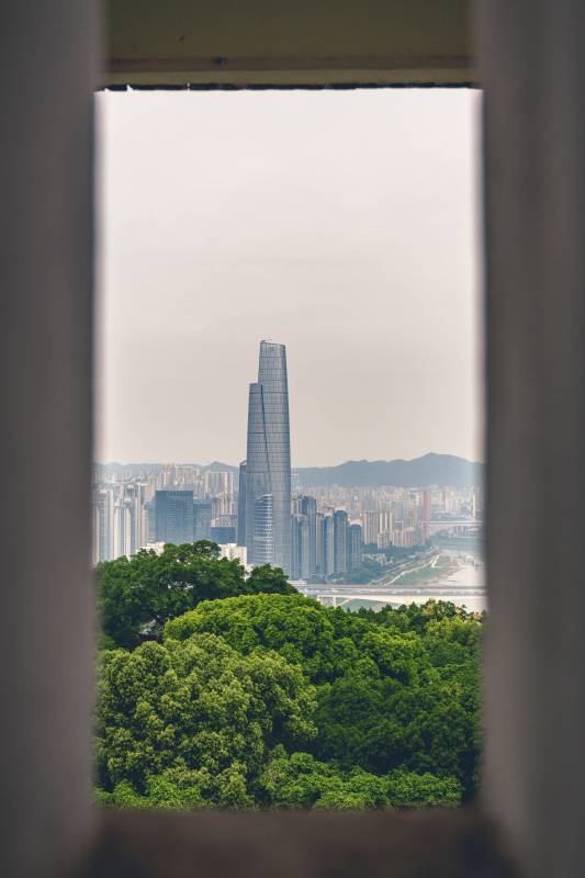 城市高楼与绿树相映图片