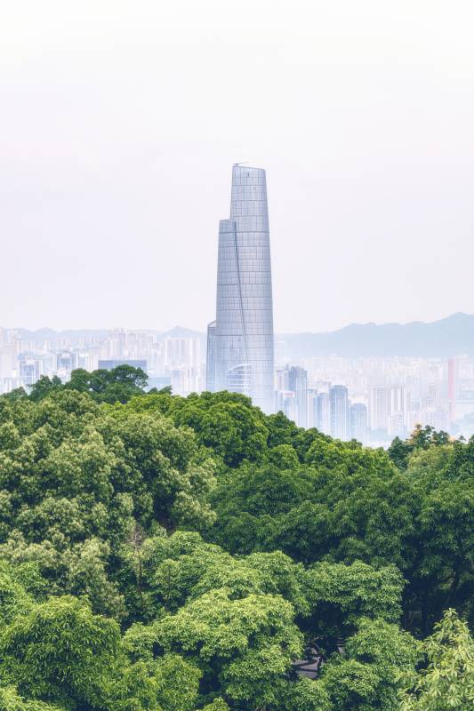 城市高楼与绿树相映成趣图片