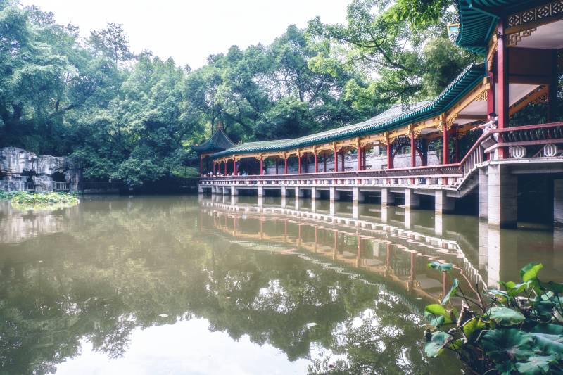 湖畔长廊 绿树映水图片