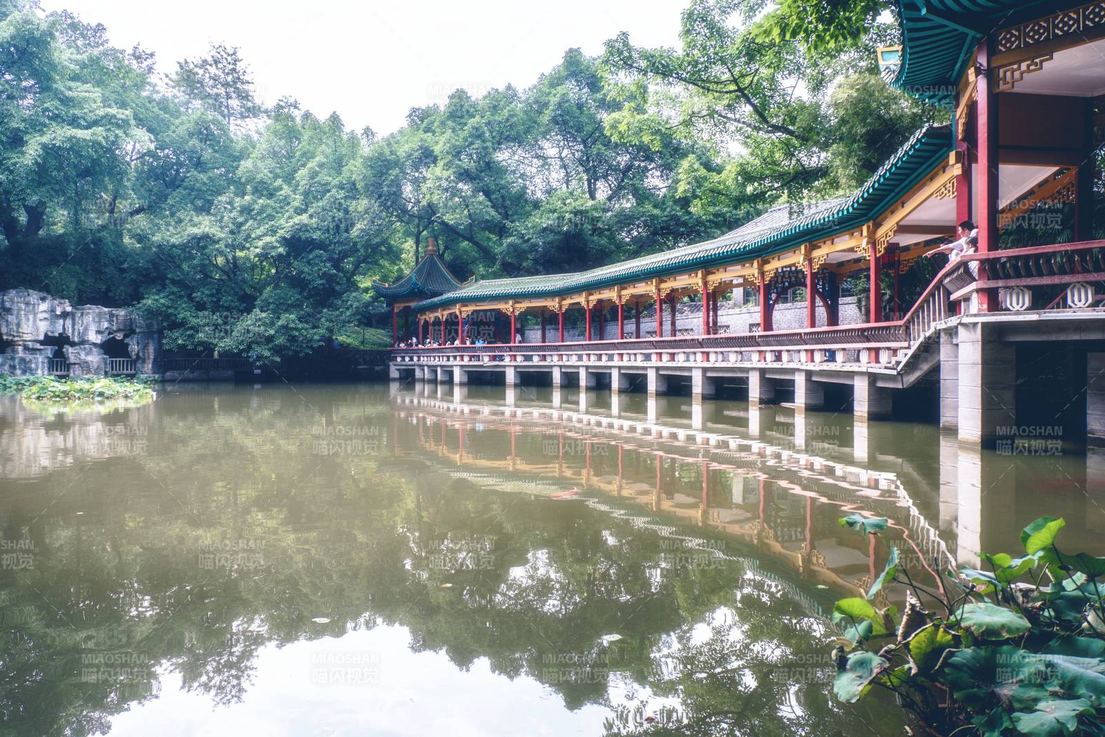 湖畔长廊 绿树映水图片