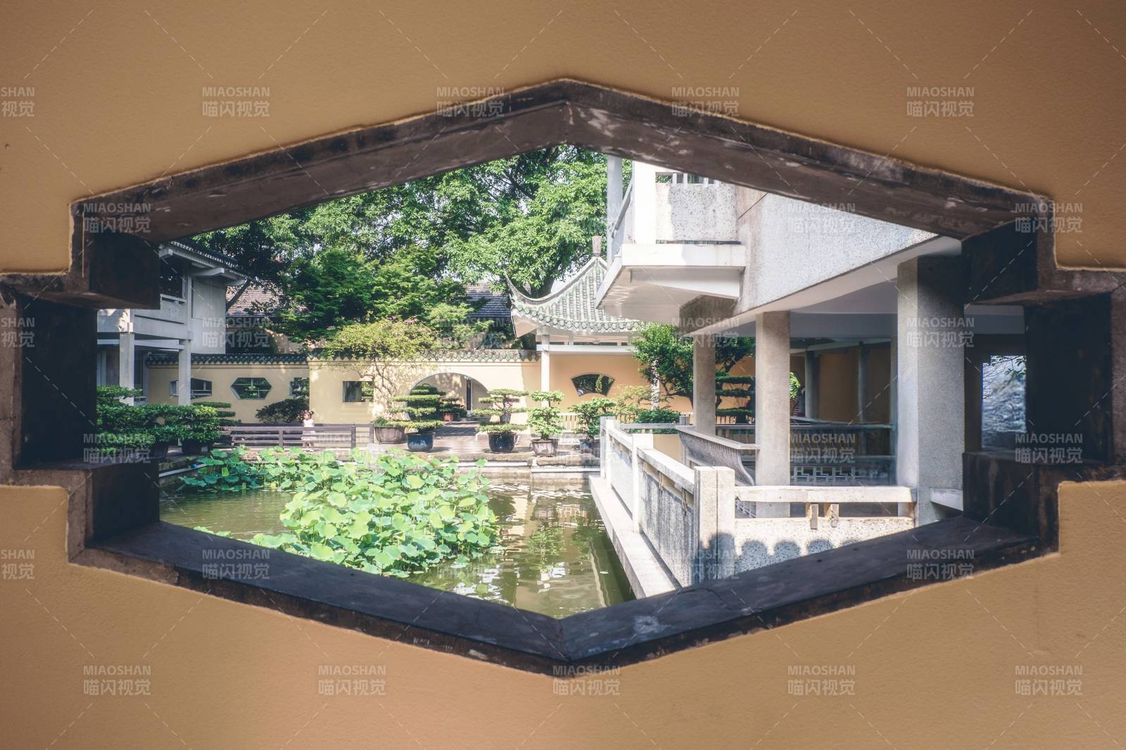 窗框中的庭院美景图片