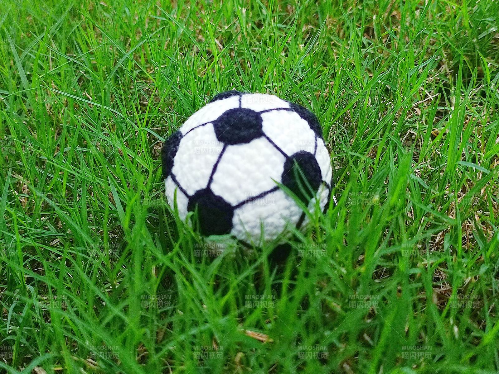 草地上的小足球图片