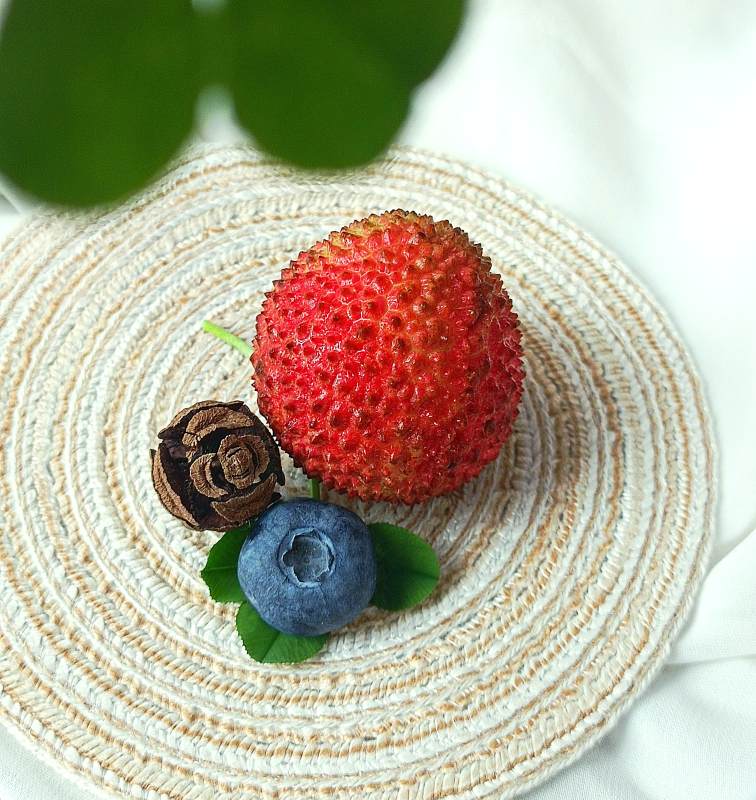 夏日水果与巧克力装饰图片