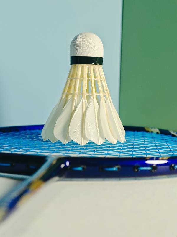 羽毛球与球拍的静谧时光图片